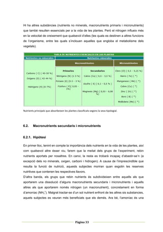 Hi ha altres substàncies (nutrients no minerals, macronutrients primaris i micronutrients)
que també resulten essencials per a la vida de les plantes. Però el nitrogen influeix més
en la velocitat de creixement que qualsevol d’elles (les quals es destinen a altres funcions
de l’organisme, entre les quals s’inclouen aquelles que engloba el metabolisme dels
vegetals).




                                                                                                  
Nutrients principals que absorbeixen les plantes classificats segons la seva tipologial. 

 

6.2.     Macronutrients secundaris i micronutrients


6.2.1. Hipòtesi

En primer lloc, tenint en compte la importància dels nutrients en la vida de les plantes, així
com qualsevol altre ésser viu, farem que la meitat dels grups de l’experiment, rebin
nutrients aportats per nosaltres. En canvi, la resta es trobarà incapaç d’abastir-se’n (a
excepció dels no minerals, oxigen, carboni i hidrogen). A causa de l’imprescindible que
resulta la funció de nutrició, aquests subjectes moriran quan esgotin les reserves
nutritives que contenen les respectives llavors.
D’altra banda, els grups que rebin nutrients és subdivideixen entre aquells als que
aportarem una dissolució d’alguns macronutrients secundaris i micronutrients i aquells
altres als que aportarem només nitrogen (un macronutrient), concretament en forma
d’amoníac (NH3+). Malgrat tractar-se d’un sol nutrient enfront de les altres sis substancies,
aquets subjectes es veuran més beneficiats que els demés. Ara bé, l’amoníac és una




 
                                                                    
                                                Pàgina 33 
                                                                    
 