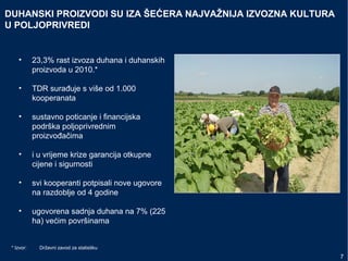 DUHANSKI PROIZVODI SU IZA ŠEĆERA NAJVAŽNIJA IZVOZNA KULTURA
U POLJOPRIVREDI
• 23,3% rast izvoza duhana i duhanskih
proizvoda u 2010.*
• TDR surađuje s više od 1.000
kooperanata
• sustavno poticanje i financijska
podrška poljoprivrednim
proizvođačima
• i u vrijeme krize garancija otkupne
cijene i sigurnosti
• svi kooperanti potpisali nove ugovore
na razdoblje od 4 godine
• ugovorena sadnja duhana na 7% (225
ha) većim površinama
7
* Izvor: Državni zavod za statistiku
 