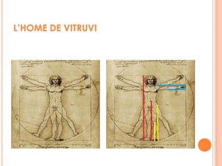 Rusc d’abelles Els mascles d'un rusc d'abelles tenen un arbre genealògic que compleix amb aquesta successió. El fet és que els abellots, el mascle de l'abella, no té pare (1), però si que té una mare (1, 1), dos avis, que són els pares de la reina (1, 1, 2), tres besavis, ja que el pare de la reina no té pare (1, 1, 2, 3), cinc rebesavis (1, 1, 2, 3, 5), vuit rere besavis (1, 1, 2, 3, 5, 8) i així successivament, complint amb la successió de Fibonacci 