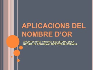 “La semi tassa volant amb annex inexpicable de 5 m de longitud“. 