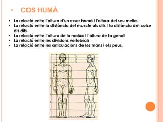 ARQUITECTURA1.EL PARTENÓ2. EL TEMPLE DE CERES Situat en Paestum (460 a. de C.) té la seva façana construïda seguint un sistema de triangles auris, el mateix que els majors temples grecs que estan relacionats, sobretot, amb l'ordre dòric