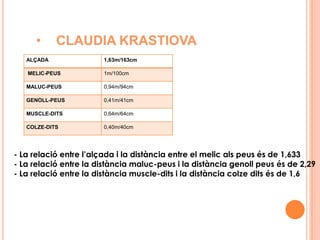 La relació entre l’altura de la maluc i l’altura de la genoll