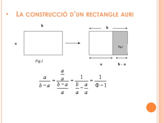 EGIPTEPIRÀMIDE DE KEOPS.Diversos científics de gran popularitat han arribat a la tesi que la relació entre l’altura i la meitat de la base d’una cara triangular lateral és igual a la proporció àuria. 