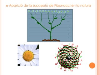LEONARDO DE PISA, FIBONACCILA SUCCESSIÓ DE FIBONACCI I LA SEVA RELACIÓ AMB EL NOMBRE D’OR