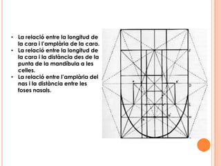 PINTURA I ESCULTURADAVID DE MIQUEL ANGELOEl David de Miguel Angel, fou esculpit seguint unes proporcions corporals. La relació entre la seva altura i la distància entre el seu melic als peus,donen com a resultat la proporció àuria. També la relació entre la distància del maluc als peus i el genoll als peus, donen com a resultat la proporció àuria. I per últim la relació entre la distància del muscle als dits i del colze als dits.