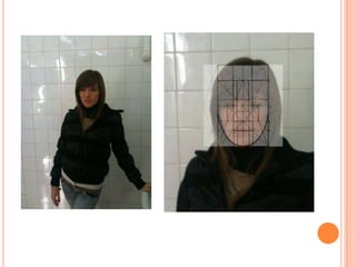 La relació entre les divisions vertebrals