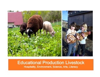 Educational Production Livestock
Hospitality, Environment, Science, Arts, Literacy

 