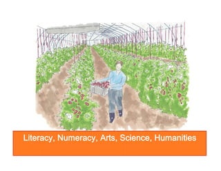 Literacy, Numeracy, Arts, Science, Humanities

 