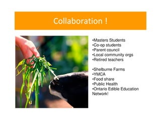 Collaboration !
•Masters Students
•Co-op students
•Parent council
•Local community orgs
•Retired teachers
•Shelburne Farms
•YMCA
•Food share
•Public Health
•Ontario Edible Education
Network!

 