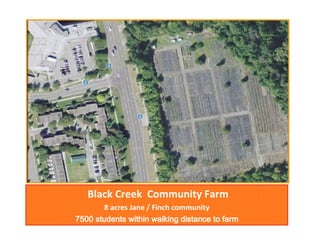 Black Creek Community Farm
8 acres Jane / Finch community
7500 students within walking distance to farm

 