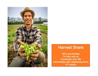 Harvest Share
400 Local families
On farm pick up
Community drop offs
Partnerships with neighboring farms
15th season

 