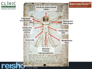 Estado de ánimo (mood)
Libido
Masa grasa/
Masa magra
Vellosidad/
Gl seborreicas
Producción
EPO
Sterm Cells
Producción
proteínas
séricas
Erección
Próstata
Espermatogénesis
Metabolismo
Óseo
 