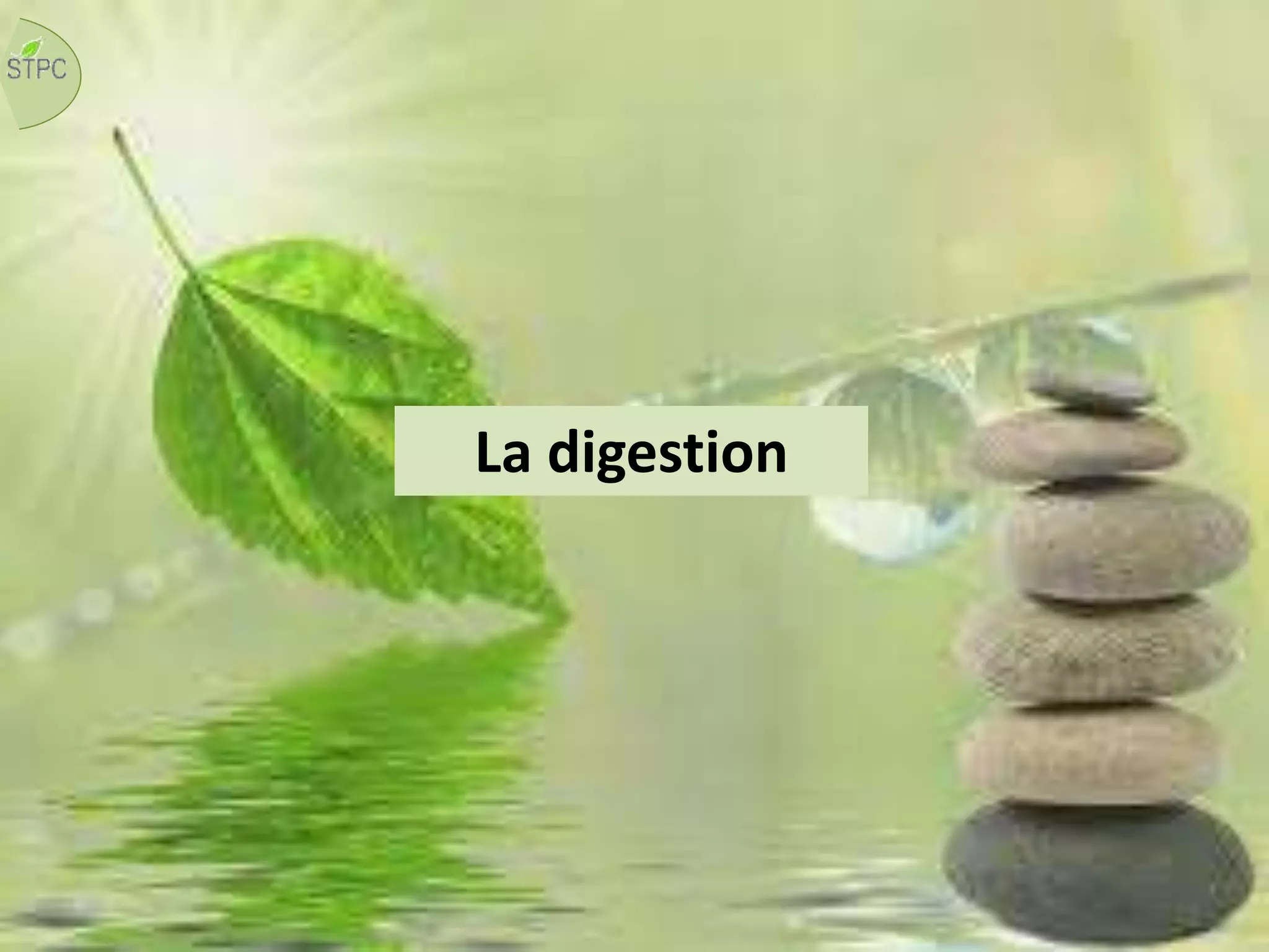 La digestion
 