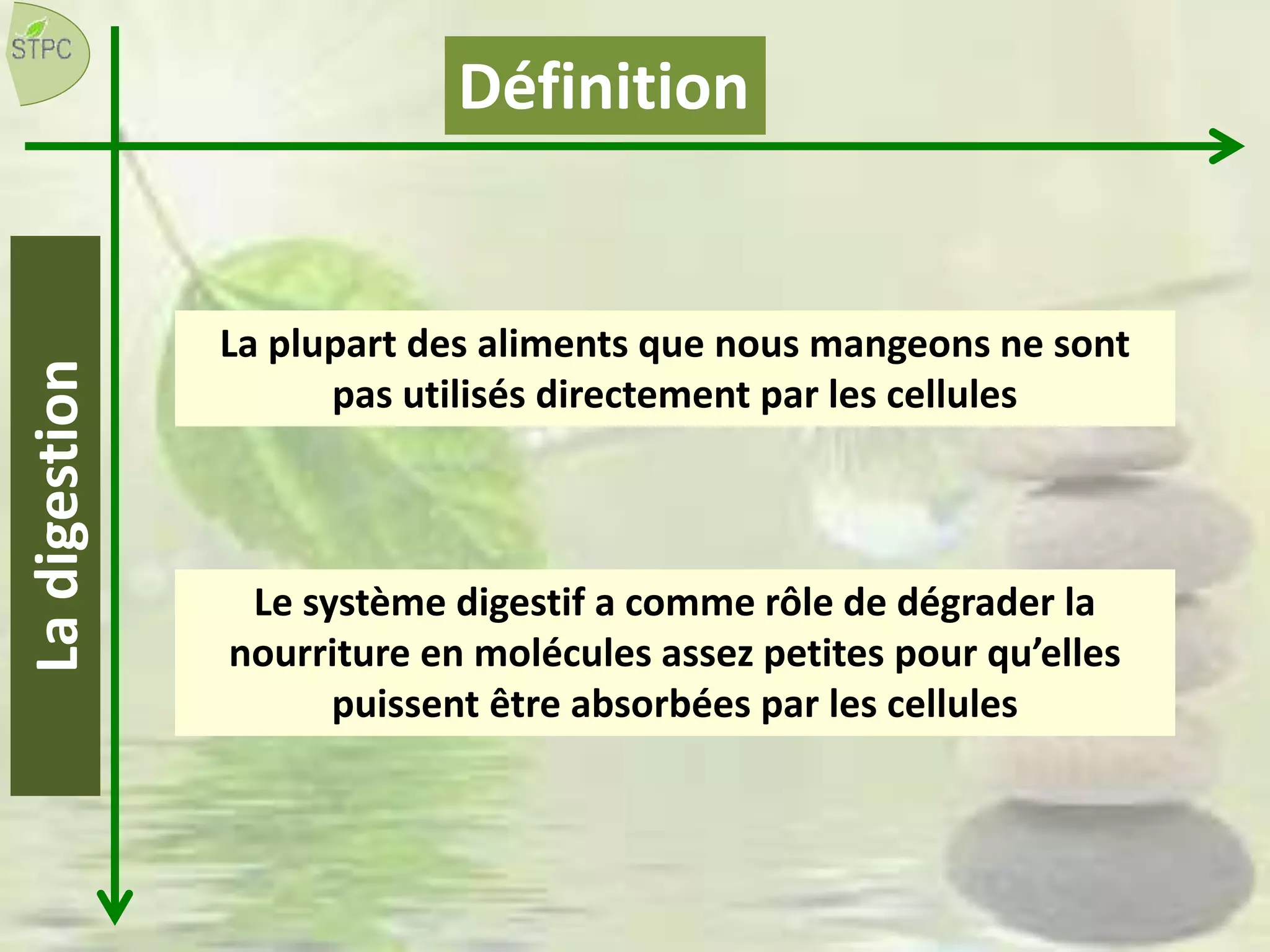 La plupart des aliments que nous mangeons ne sont
pas utilisés directement par les cellules
Définition
Le système digestif a comme rôle de dégrader la
nourriture en molécules assez petites pour qu’elles
puissent être absorbées par les cellules
Ladigestion
 
