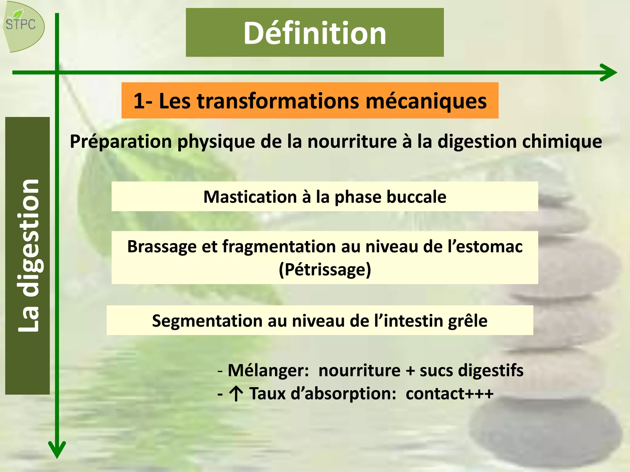 Définition
1- Les transformations mécaniques
Préparation physique de la nourriture à la digestion chimique
Ladigestion
Mastication à la phase buccale
Brassage et fragmentation au niveau de l’estomac
(Pétrissage)
Segmentation au niveau de l’intestin grêle
- Mélanger: nourriture + sucs digestifs
- ↑ Taux d’absorption: contact+++
 