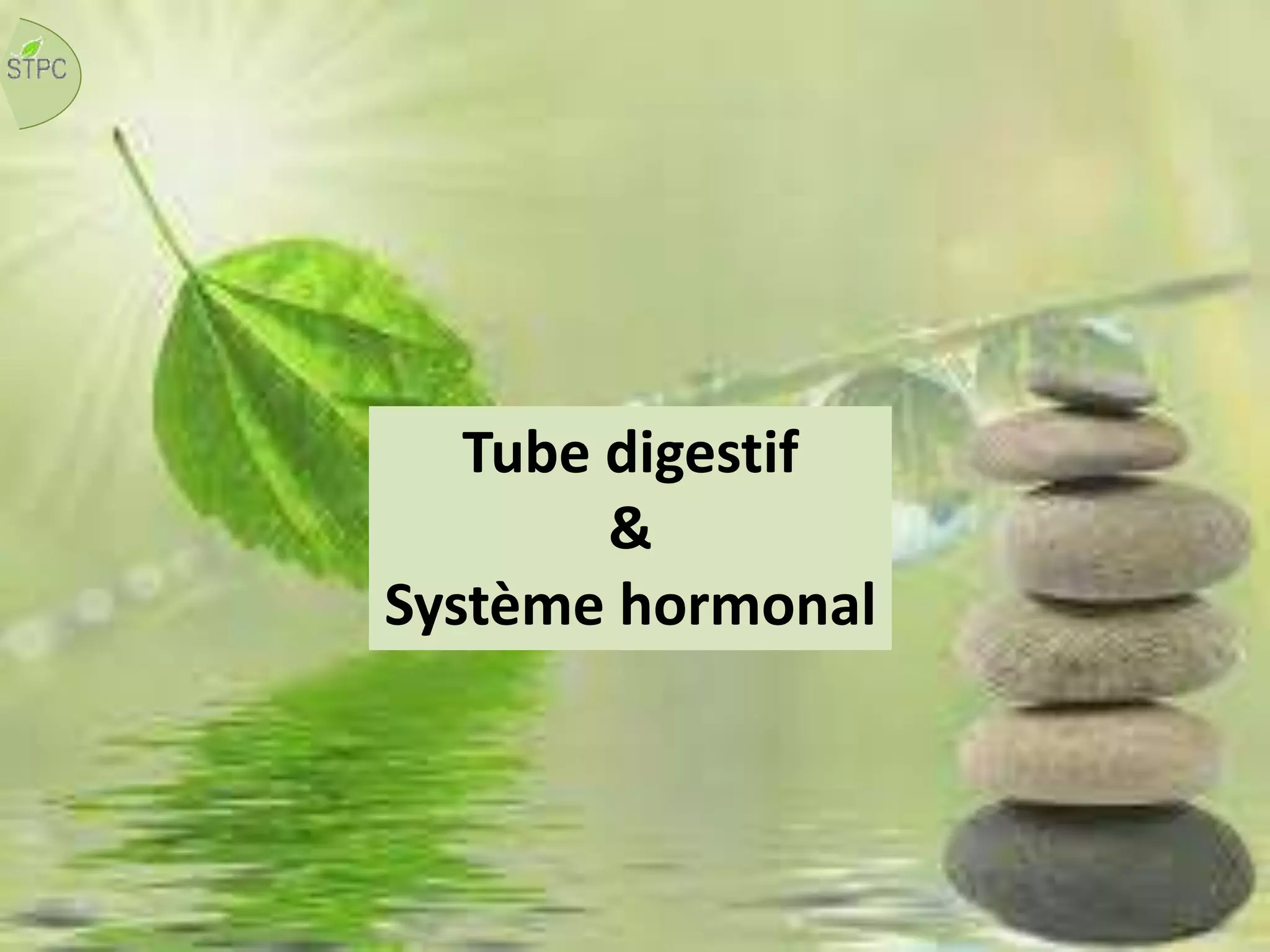 Tube digestif
&
Système hormonal
 