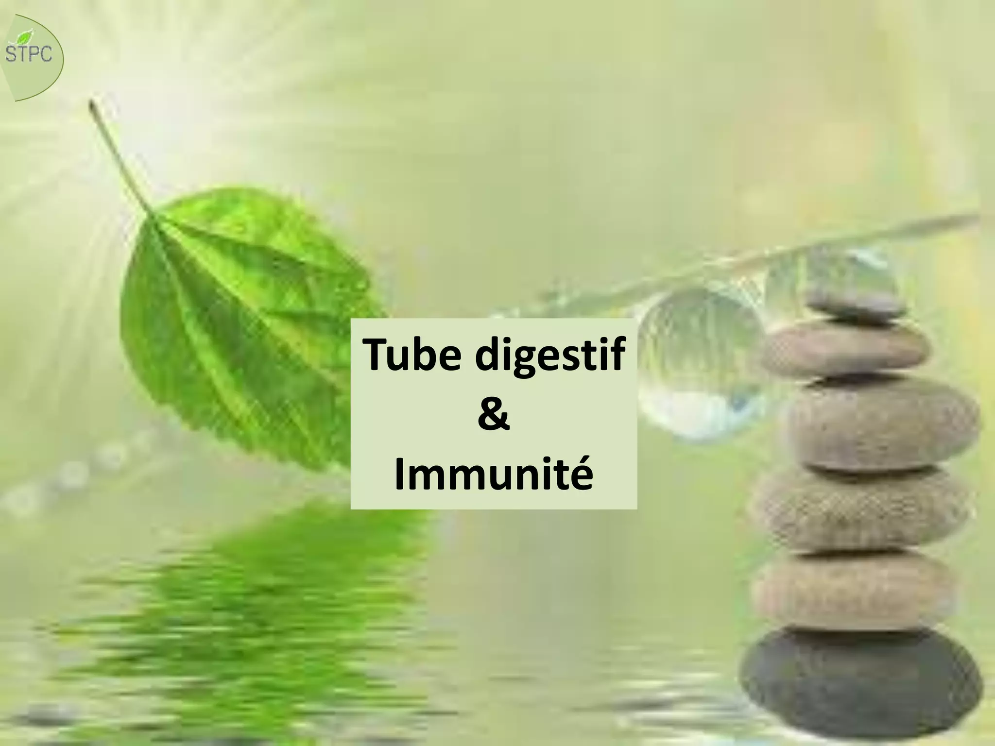 Tube digestif
&
Immunité
 