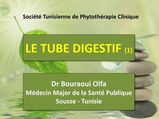 LE TUBE DIGESTIF (1)
Société Tunisienne de Phytothérapie Clinique
Dr Bouraoui Olfa
Médecin Major de la Santé Publique
Sousse - Tunisie
 