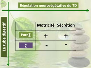 Motricité Sécrétion
Para∑
∑
Régulation neurovégétative du TDLetubedigestif
+ +
- -
 
