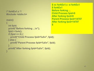 Introduction to socket programming nbv | PPTX