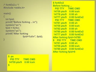 Introduction to socket programming nbv | PPTX