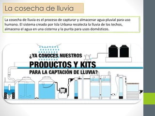 La cosecha de lluvia 
La cosecha de lluvia es el proceso de capturar y almacenar agua pluvial para uso 
humano. El sistema creado por Isla Urbana recolecta la lluvia de los techos, 
almacena el agua en una cisterna y la purita para usos domésticos. 
 