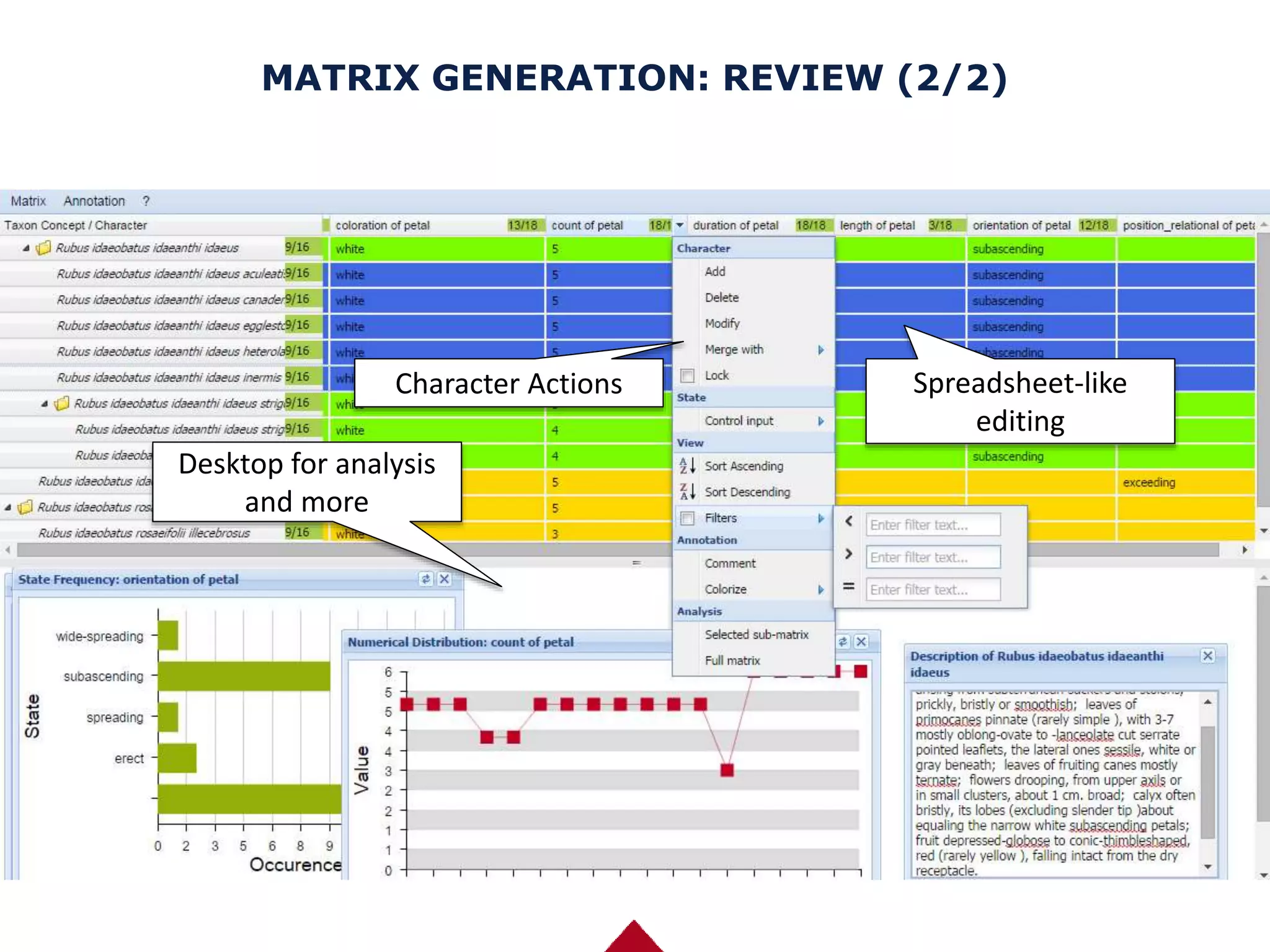 Explorer of Taxon Concepts (ETC). From description to matrix and beyond ...