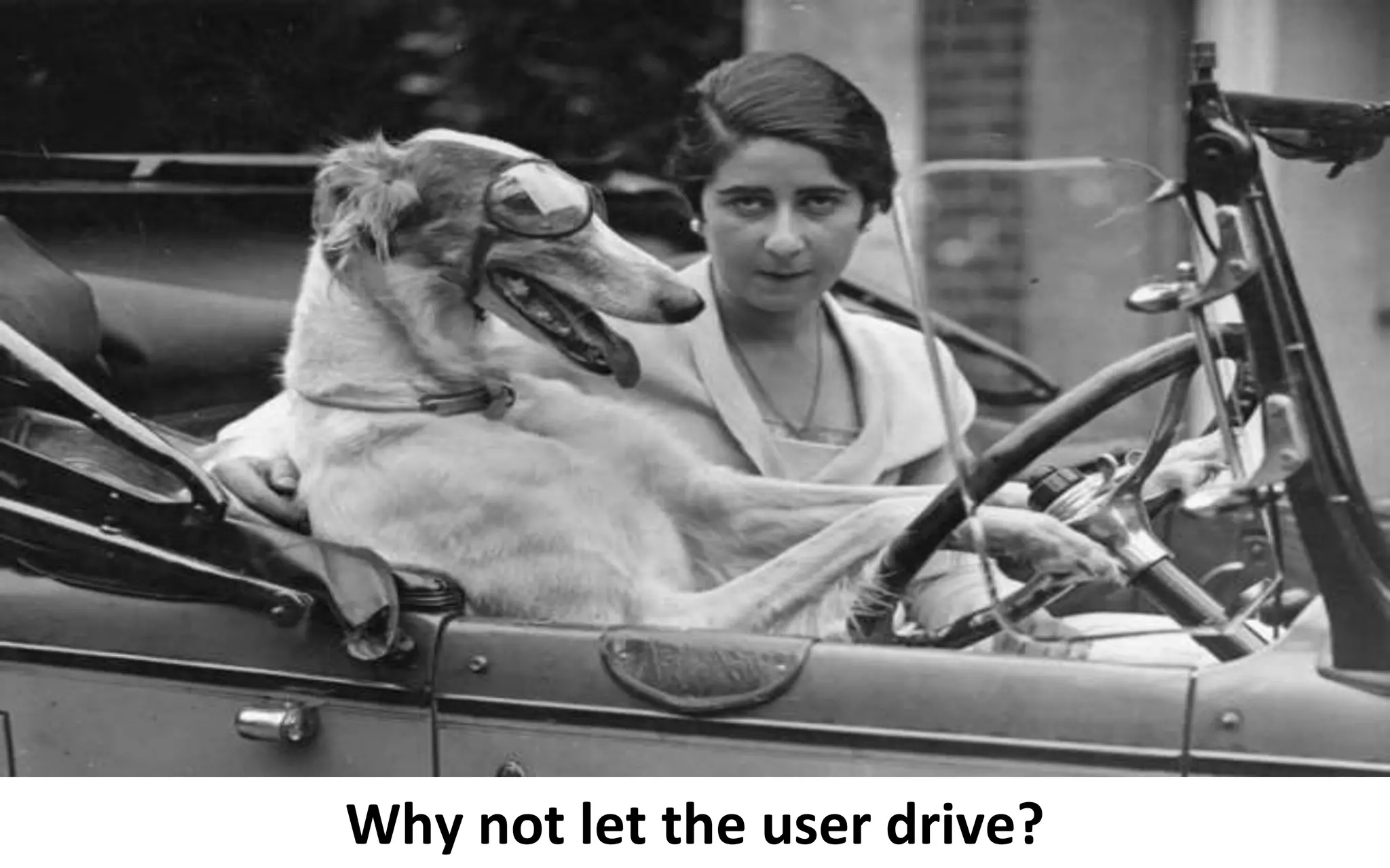 © Third Nature Inc.
Why not let the user drive?
 