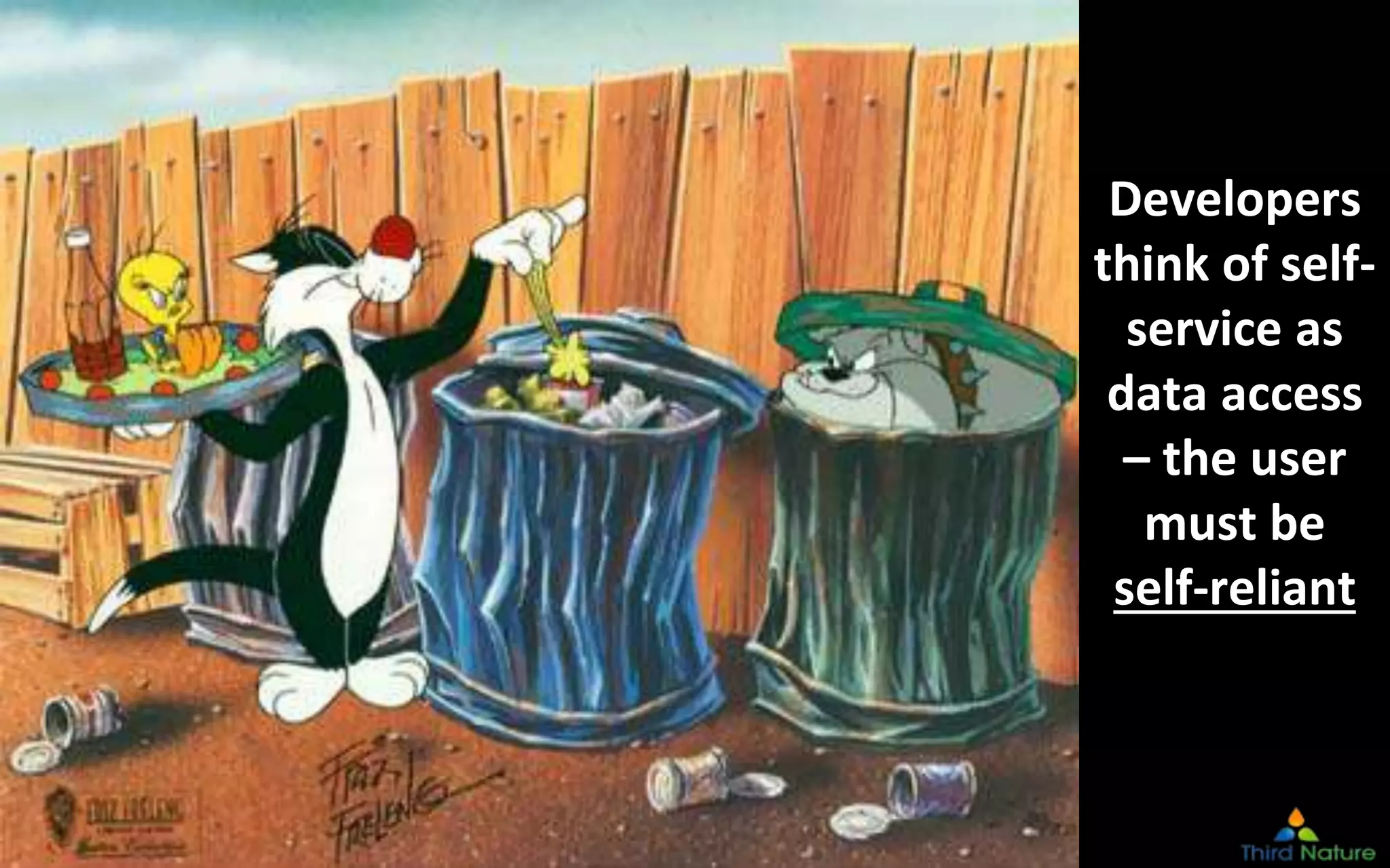 Copyright Third Nature, Inc.
Developers
think of self-
service as
data access
– the user
must be
self-reliant
 