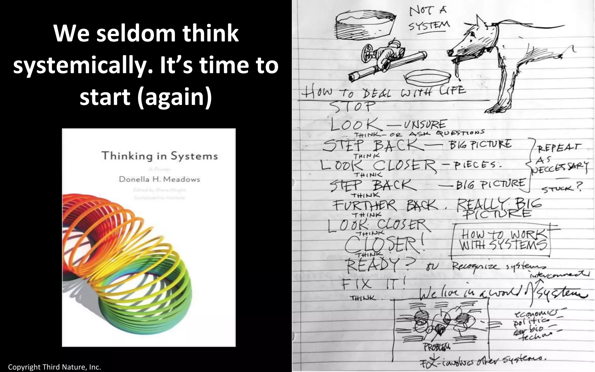 Copyright Third Nature, Inc.
We seldom think
systemically. It’s time to
start (again)
 