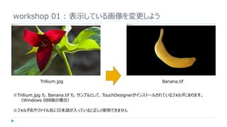 workshop 01 : 表示している画像を変更しよう
Trillium.jpg Banana.tif
※Trillium.jpg も、Banana.tif も、サンプルとして、TouchDesignerがインストールされているフォルダにあります。
（Windows 088版の場合）
※フォルダ名やファイル名に日本語が入っていると正しく使用できません
 