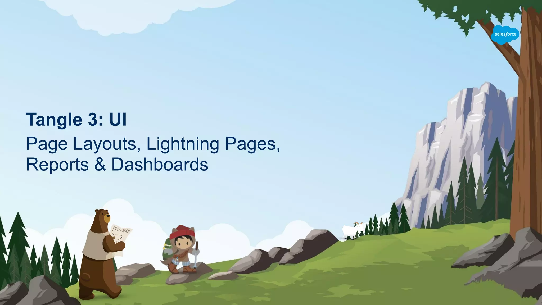 Tangle 3: UI
Page Layouts, Lightning Pages,
Reports & Dashboards
 