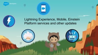 Lightning Experience, Mobile, Einstein
Platform services and other updates
 