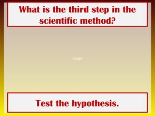 Third Method Scientific method review game | PPT