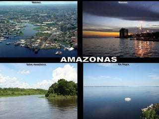 4. A Petrobrás é a única  empresa do mundo a deter a tecnologia completa de produção de petróleo em  águas profundas. AMAZONAS 