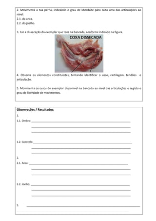 2. Movimenta a tua perna, indicando o grau de liberdade para cada uma das articulações ao
nível:
2.1. da anca.
2.2. do joelho.

3. Faz a dissecação do exemplar que tens na bancada, conforme indicado na figura.




4. Observa os elementos constituintes, tentando identificar o osso, cartilagem, tendões e
articulação.

5. Movimenta os ossos do exemplar disponível na bancada ao nível das articulações e regista o
grau de liberdade de movimentos.




Observações / Resultados:
1.
1.1. Ombro: _____________________________________________________________________
           _____________________________________________________________________
           _____________________________________________________________________


1.2. Cotovelo:_____________________________________________________________________
           _____________________________________________________________________
           _____________________________________________________________________
2.
2.1. Anca: _____________________________________________________________________
           _____________________________________________________________________
           _____________________________________________________________________


2.2. Joelho: _____________________________________________________________________
           _____________________________________________________________________
           _____________________________________________________________________


5.     _______________________________________________________________________________
______________________________________________________________________________
 