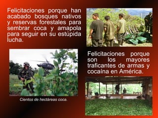 Felicitaciones porque han acabado bosques nativos y reservas forestales para sembrar coca y amapola para seguir en su estúpida lucha. Felicitaciones porque son los mayores traficantes de armas y cocaína en América. Cientos de hectáreas coca. 