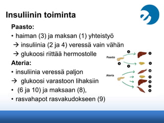 Insuliinin toiminta
Paasto:
• haiman (3) ja maksan (1) yhteistyö
 insuliinia (2 ja 4) veressä vain vähän
 glukoosi riittää hermostolle
Ateria:
• insuliinia veressä paljon
 glukoosi varastoon lihaksiin
• (6 ja 10) ja maksaan (8),
• rasvahapot rasvakudokseen (9)
 