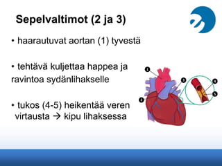 Sepelvaltimot (2 ja 3)
• haarautuvat aortan (1) tyvestä
• tehtävä kuljettaa happea ja
ravintoa sydänlihakselle
• tukos (4-5) heikentää veren
virtausta  kipu lihaksessa
 
