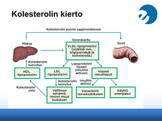 Kolesterolin kierto
 