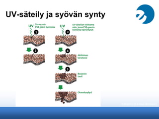 UV-säteily ja syövän synty
Vanamo (Linnea Boreais)
 