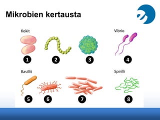 Mikrobien kertausta
 