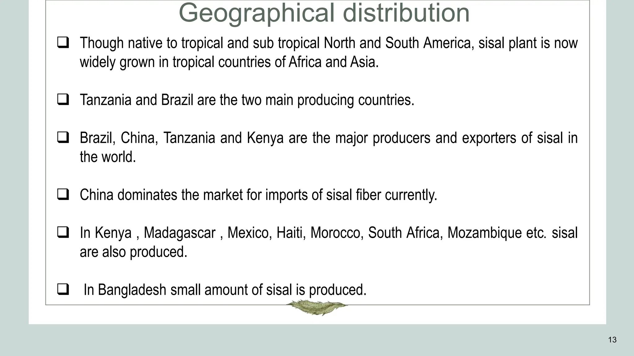Geographical distribution
13
 Though native to tropical and sub tropical North and South America, sisal plant is now
widely grown in tropical countries of Africa and Asia.
 Tanzania and Brazil are the two main producing countries.
 Brazil, China, Tanzania and Kenya are the major producers and exporters of sisal in
the world.
 China dominates the market for imports of sisal fiber currently.
 In Kenya , Madagascar , Mexico, Haiti, Morocco, South Africa, Mozambique etc. sisal
are also produced.
 In Bangladesh small amount of sisal is produced.
 