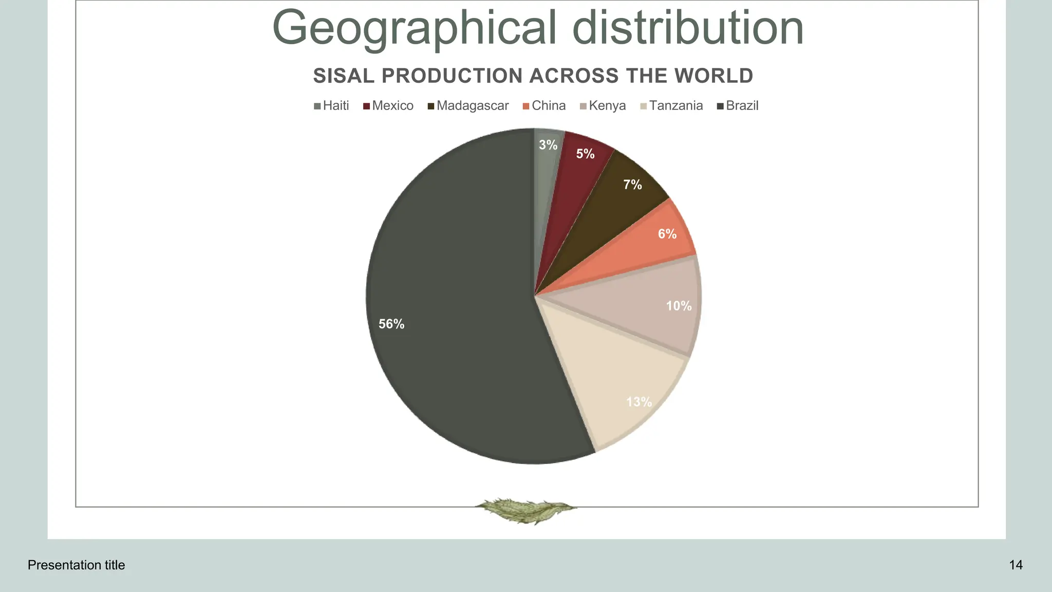 Geographical distribution
Presentation title 14
3%
5%
7%
6%
10%
13%
56%
SISAL PRODUCTION ACROSS THE WORLD
Haiti Mexico Madagascar China Kenya Tanzania Brazil
 