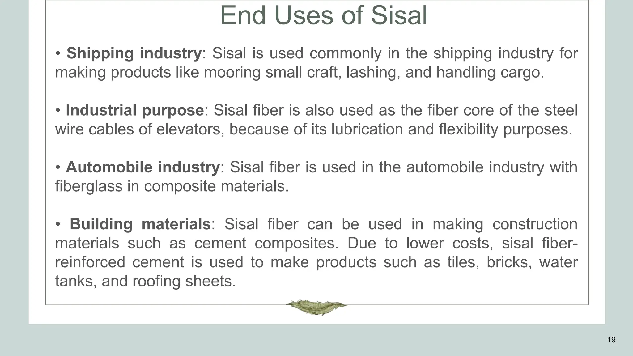 End Uses of Sisal
19
• Shipping industry: Sisal is used commonly in the shipping industry for
making products like mooring small craft, lashing, and handling cargo.
• Industrial purpose: Sisal fiber is also used as the fiber core of the steel
wire cables of elevators, because of its lubrication and flexibility purposes.
• Automobile industry: Sisal fiber is used in the automobile industry with
fiberglass in composite materials.
• Building materials: Sisal fiber can be used in making construction
materials such as cement composites. Due to lower costs, sisal fiber-
reinforced cement is used to make products such as tiles, bricks, water
tanks, and roofing sheets.
 