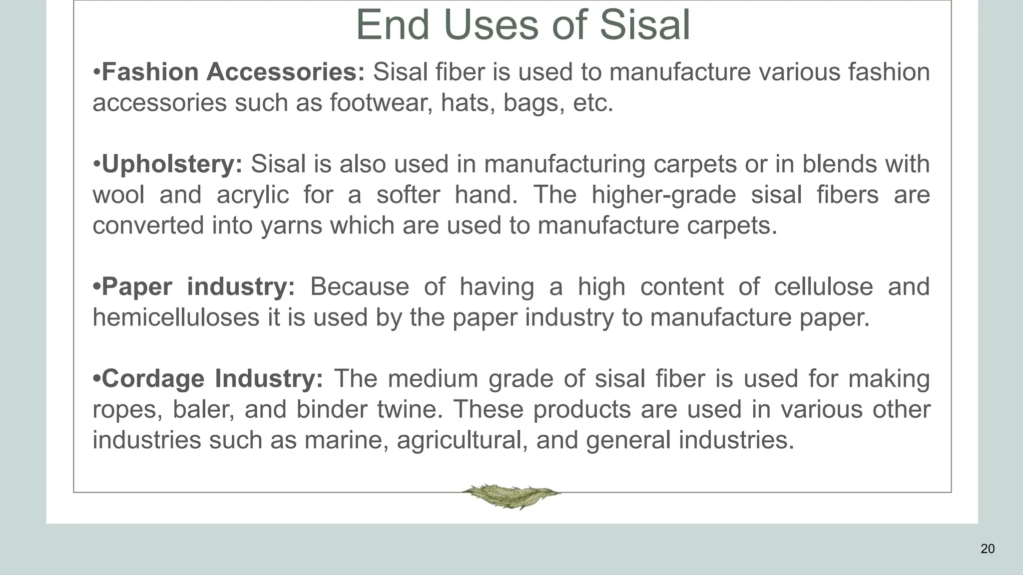 End Uses of Sisal
20
•Fashion Accessories: Sisal fiber is used to manufacture various fashion
accessories such as footwear, hats, bags, etc.
•Upholstery: Sisal is also used in manufacturing carpets or in blends with
wool and acrylic for a softer hand. The higher-grade sisal fibers are
converted into yarns which are used to manufacture carpets.
•Paper industry: Because of having a high content of cellulose and
hemicelluloses it is used by the paper industry to manufacture paper.
•Cordage Industry: The medium grade of sisal fiber is used for making
ropes, baler, and binder twine. These products are used in various other
industries such as marine, agricultural, and general industries.
 