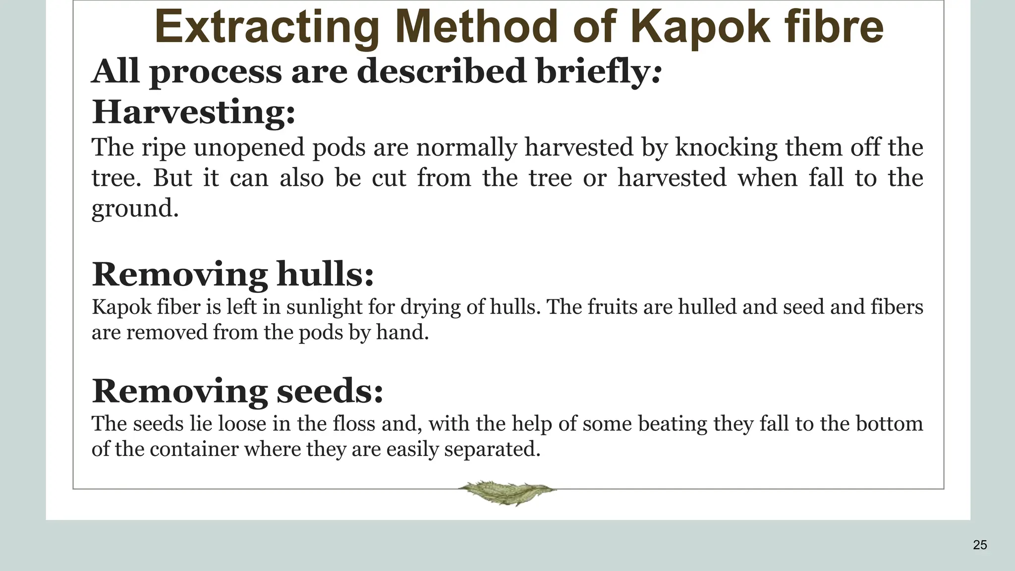 Extracting Method of Kapok fibre
25
All process are described briefly:
Harvesting:
The ripe unopened pods are normally harvested by knocking them off the
tree. But it can also be cut from the tree or harvested when fall to the
ground.
Removing hulls:
Kapok fiber is left in sunlight for drying of hulls. The fruits are hulled and seed and fibers
are removed from the pods by hand.
Removing seeds:
The seeds lie loose in the floss and, with the help of some beating they fall to the bottom
of the container where they are easily separated.
 