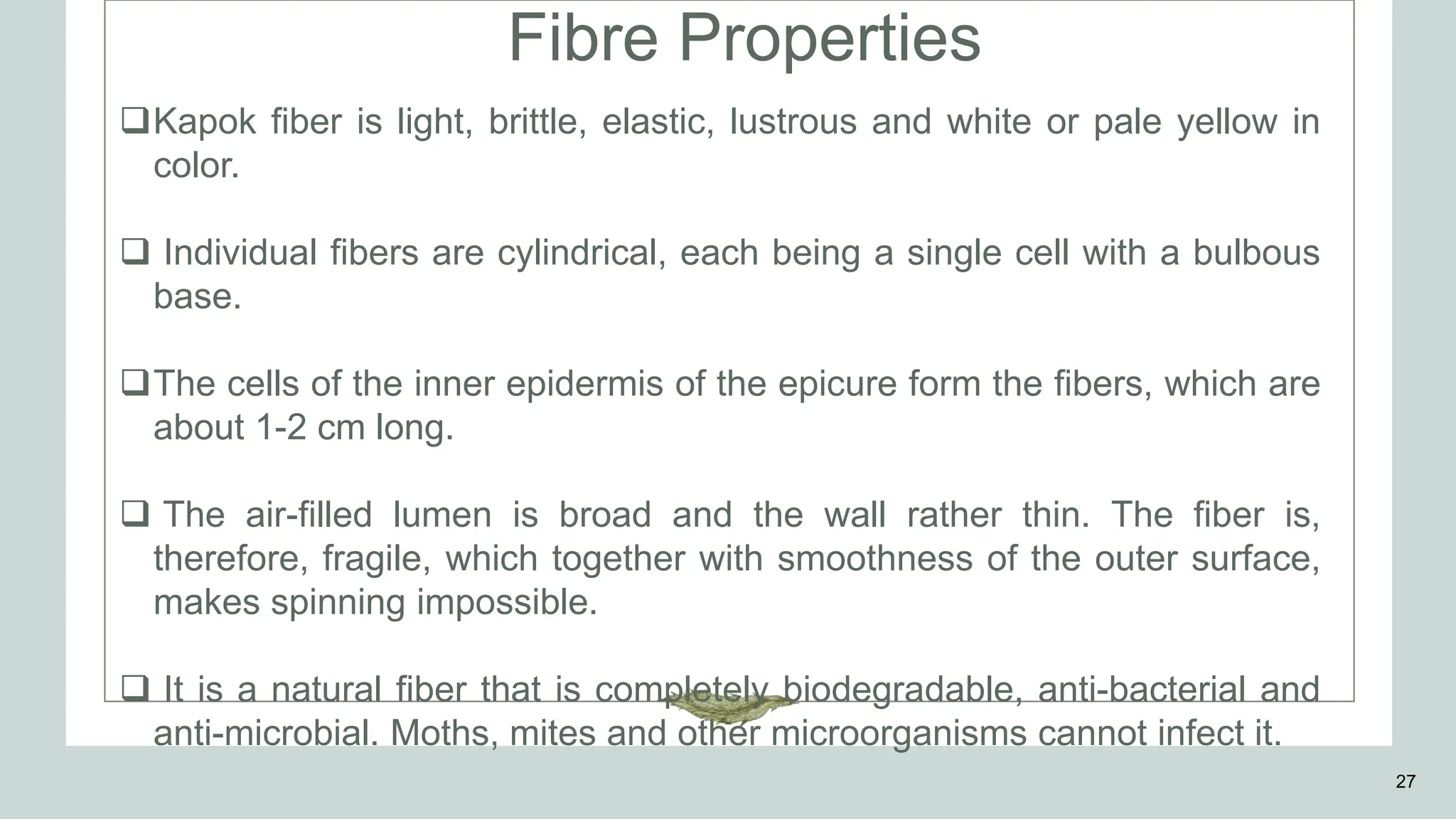 Fibre Properties
27
Kapok fiber is light, brittle, elastic, lustrous and white or pale yellow in
color.
 Individual fibers are cylindrical, each being a single cell with a bulbous
base.
The cells of the inner epidermis of the epicure form the fibers, which are
about 1-2 cm long.
 The air-filled lumen is broad and the wall rather thin. The fiber is,
therefore, fragile, which together with smoothness of the outer surface,
makes spinning impossible.
 It is a natural fiber that is completely biodegradable, anti-bacterial and
anti-microbial. Moths, mites and other microorganisms cannot infect it.
 