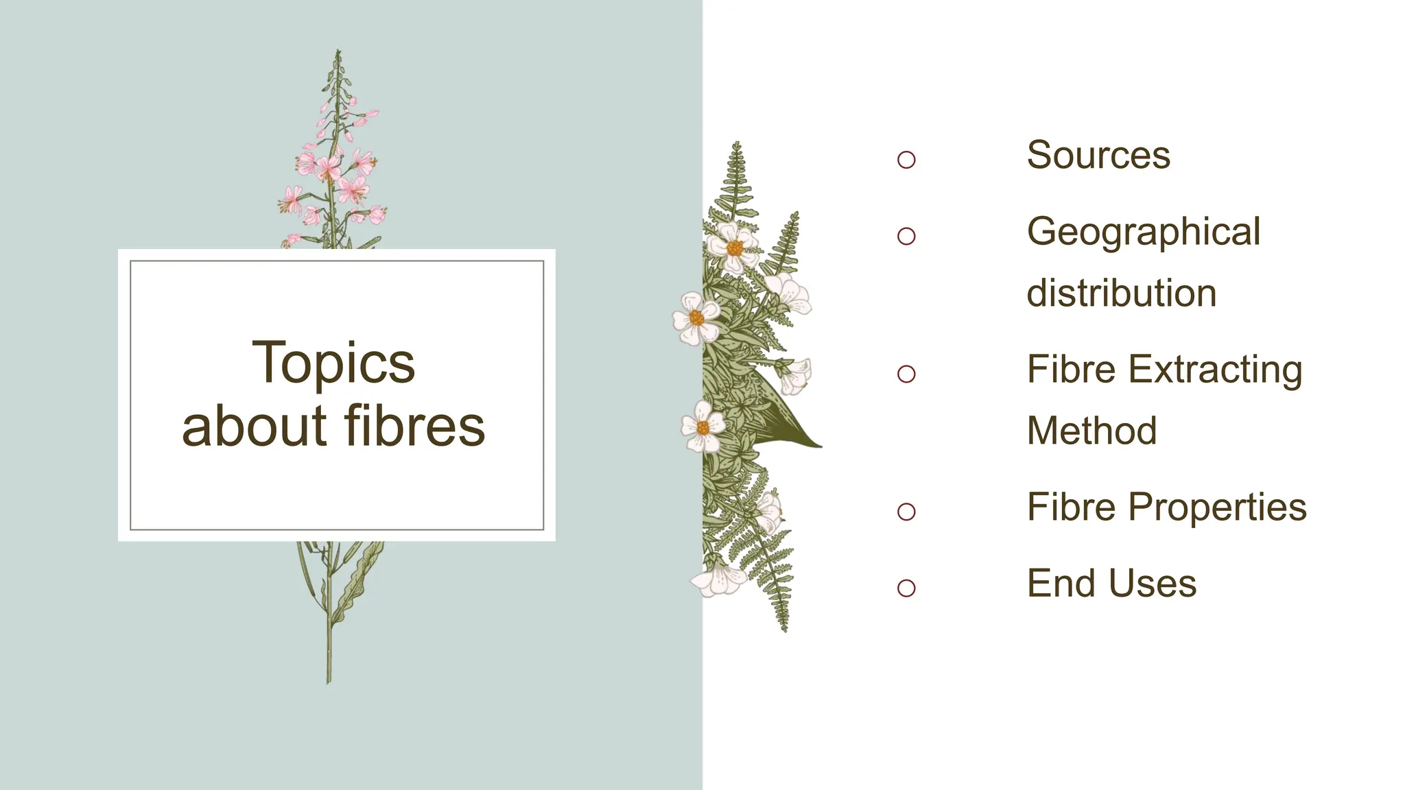 Topics
about fibres
o Sources
o Geographical
distribution
o Fibre Extracting
Method
o Fibre Properties
o End Uses
 