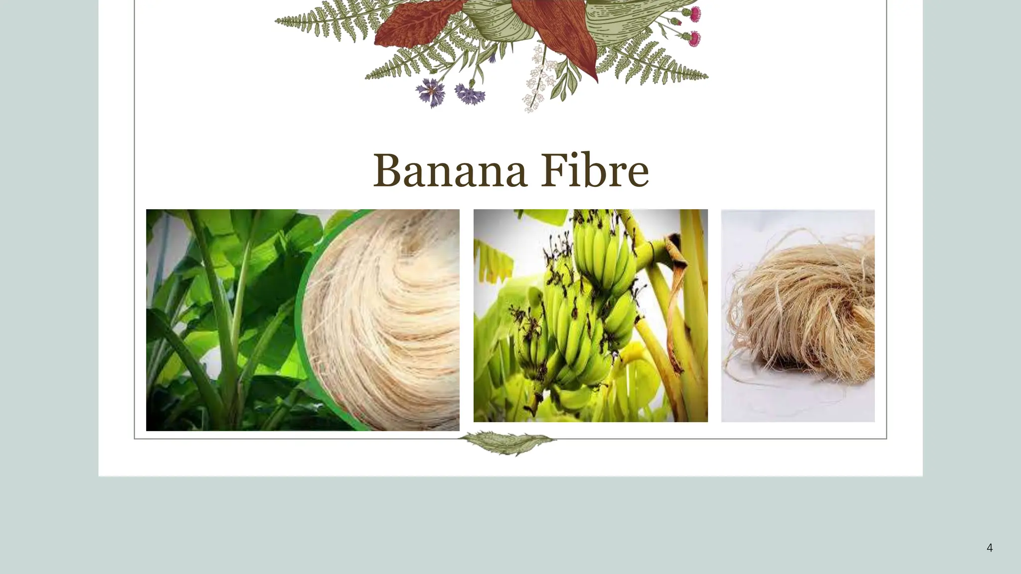 Banana Fibre
4
 